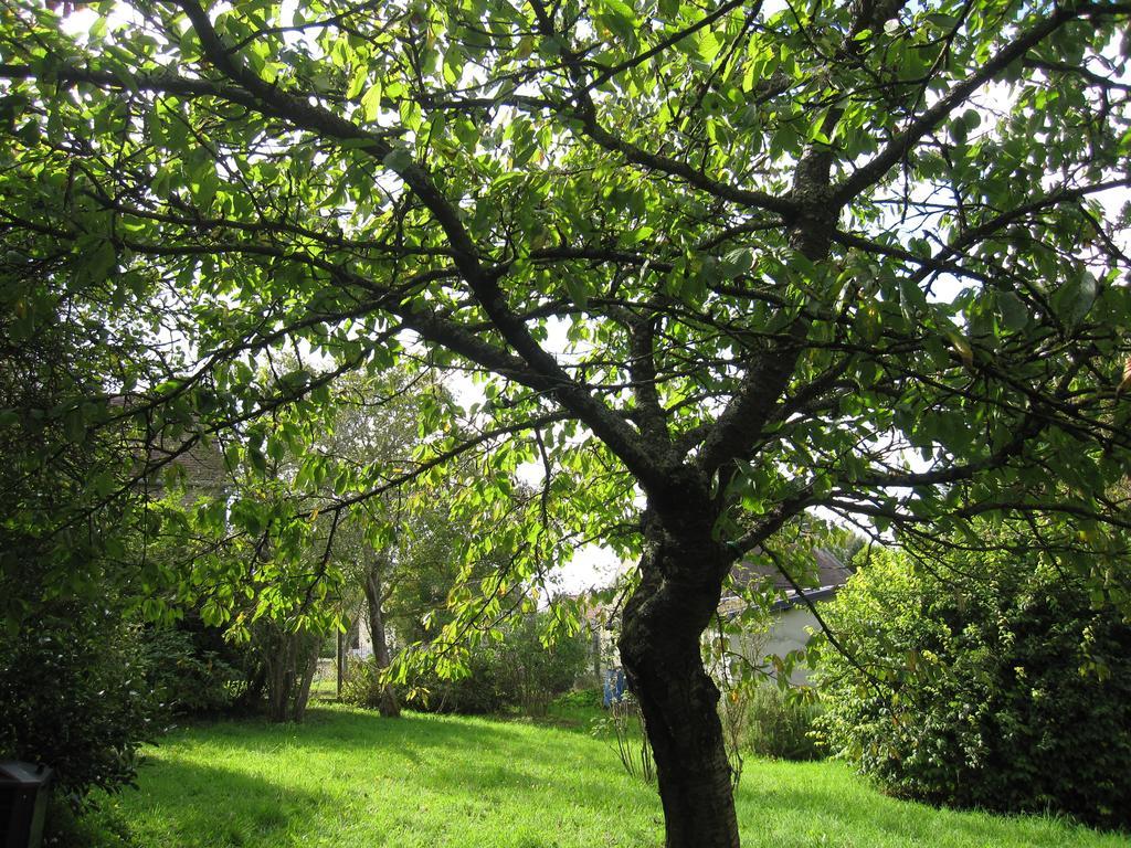 Maison Avec Grand Jardin Pour 15 Couchages En Normandie Cairon 客房 照片